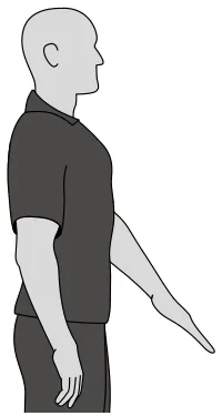 Figure (PDF page 125)